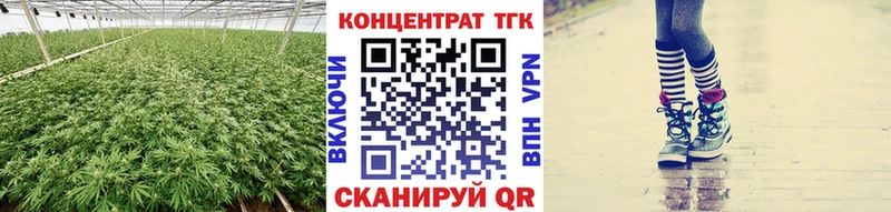 ТГК Wax  Соль-Илецк 