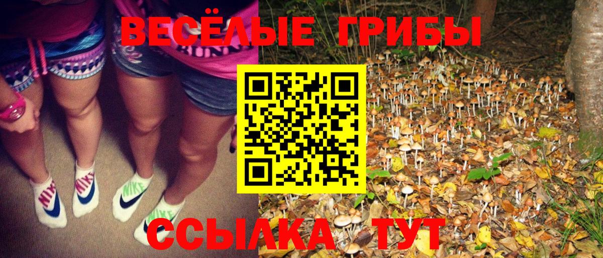 Соль-Илецк  Галлюциногенные грибы мухоморы  Вход с VPN 