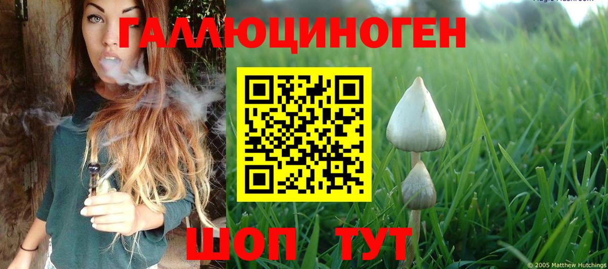 продажа наркотиков  Псилоцибиновые грибы прущие грибы  Вход с VPN  Псилоцибиновые грибы мухоморы  Соль-Илецк 