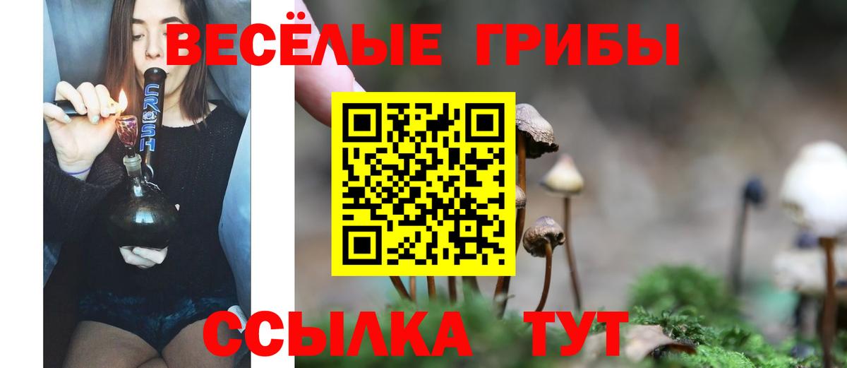 Галлюциногенные грибы Cubensis Соль-Илецк